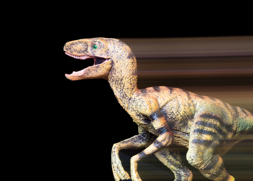 velociraptor national geographic