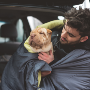 Man and Dog Under Blanket