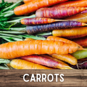 Carrots