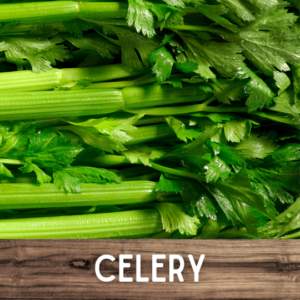 Celery