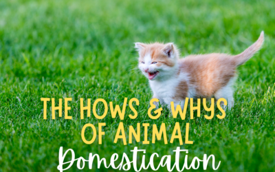 The Hows and Whys of Animal Domestication