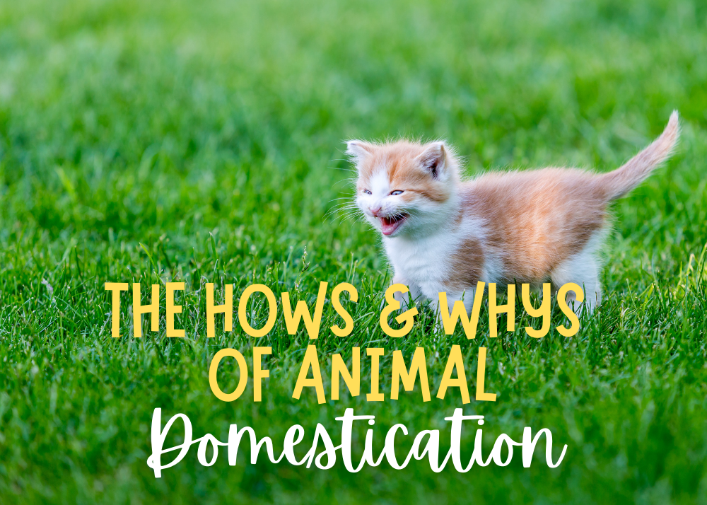 The Hows and Whys of Animal Domestication | Terrebonne Parish Library System