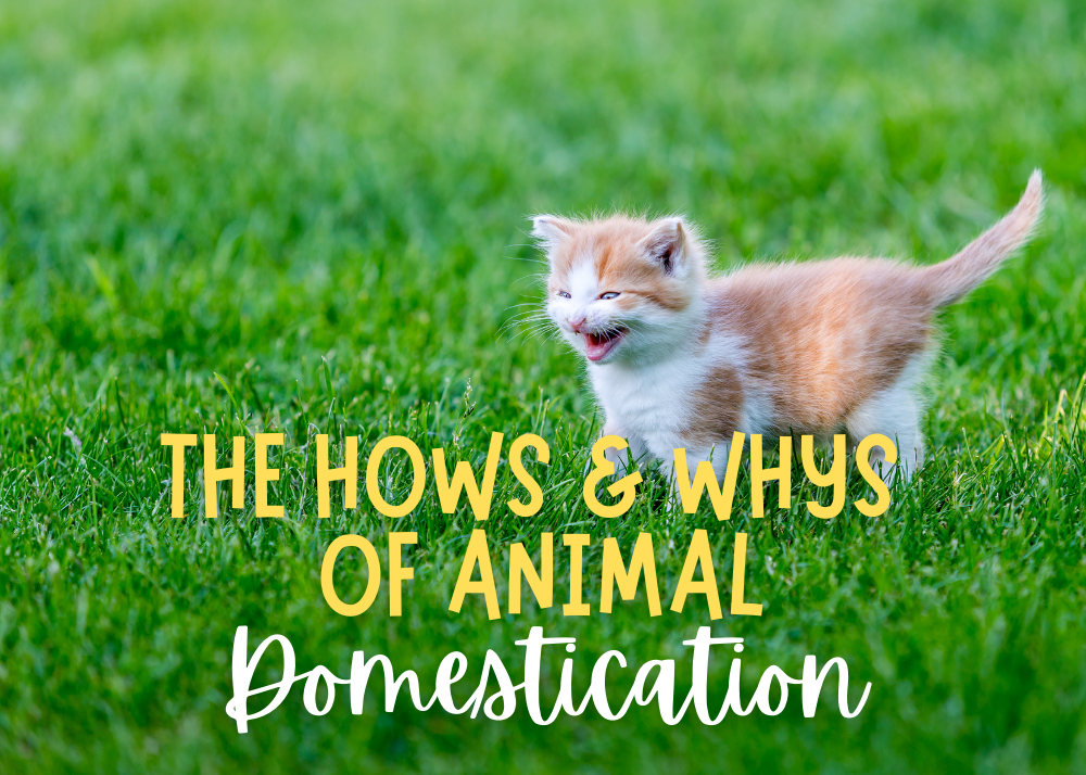 the-hows-and-whys-of-animal-domestication-terrebonne-parish-library