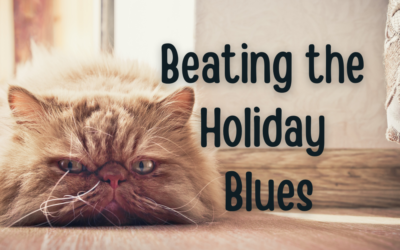 Beating the Holiday Blues