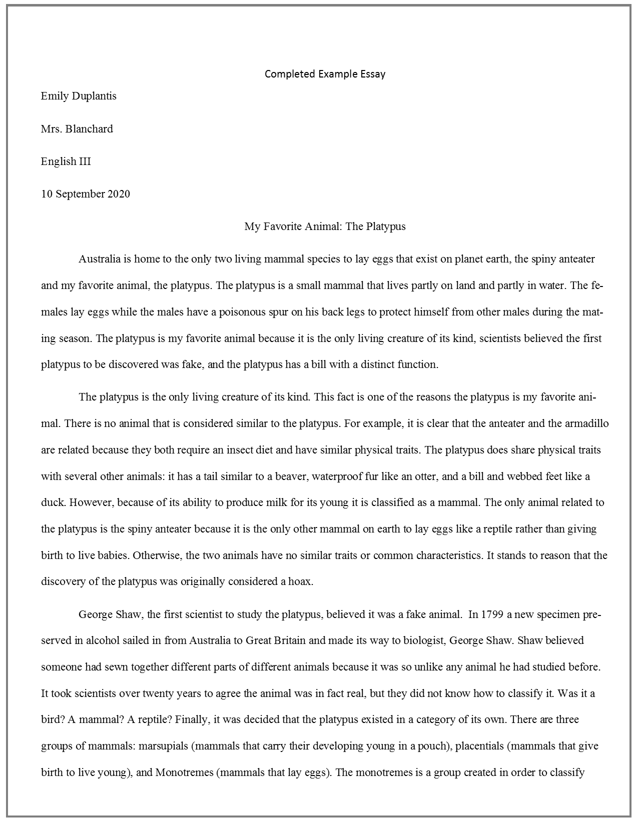 example of informative essay format