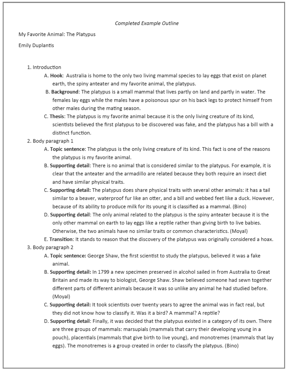 example of informative essay format