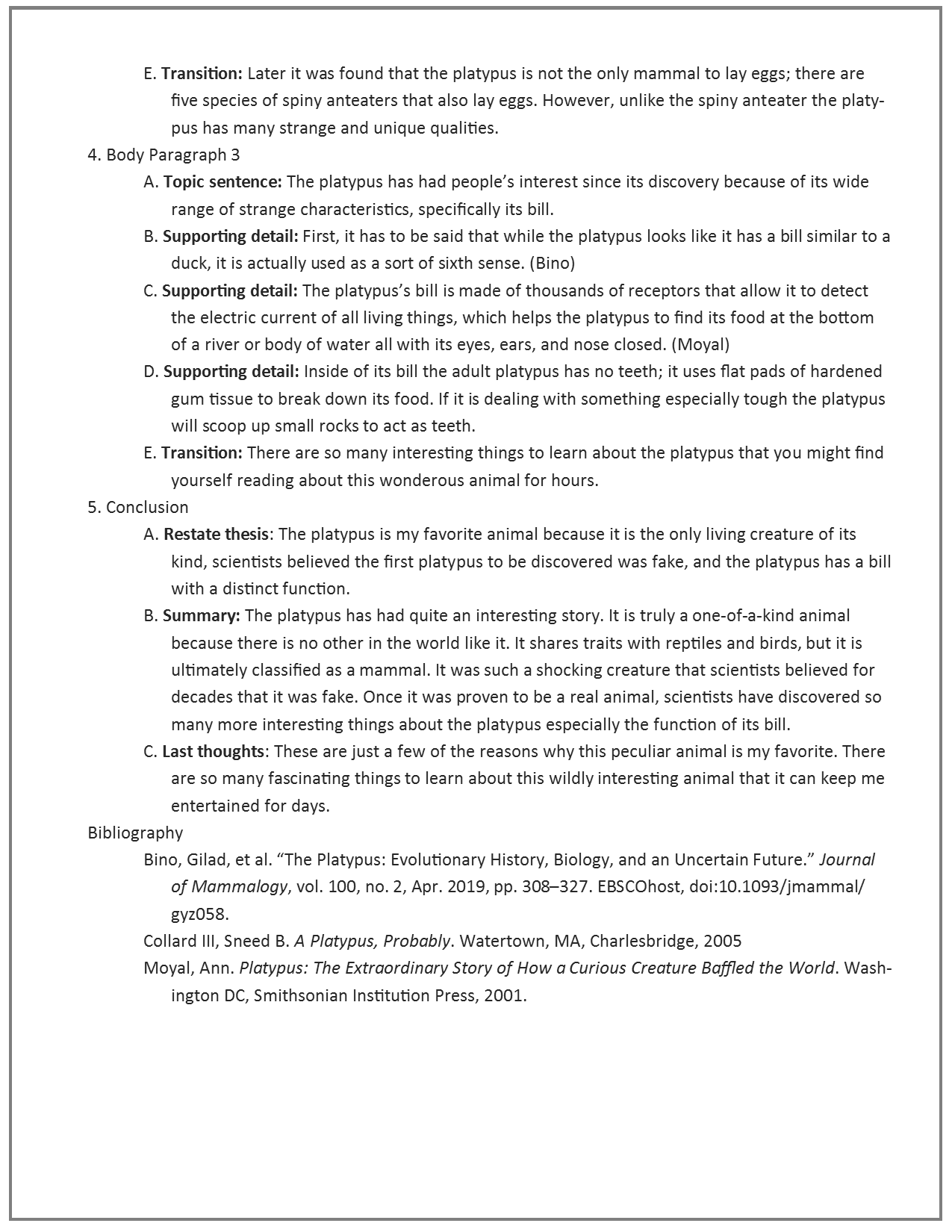 read this outline for an informative essay