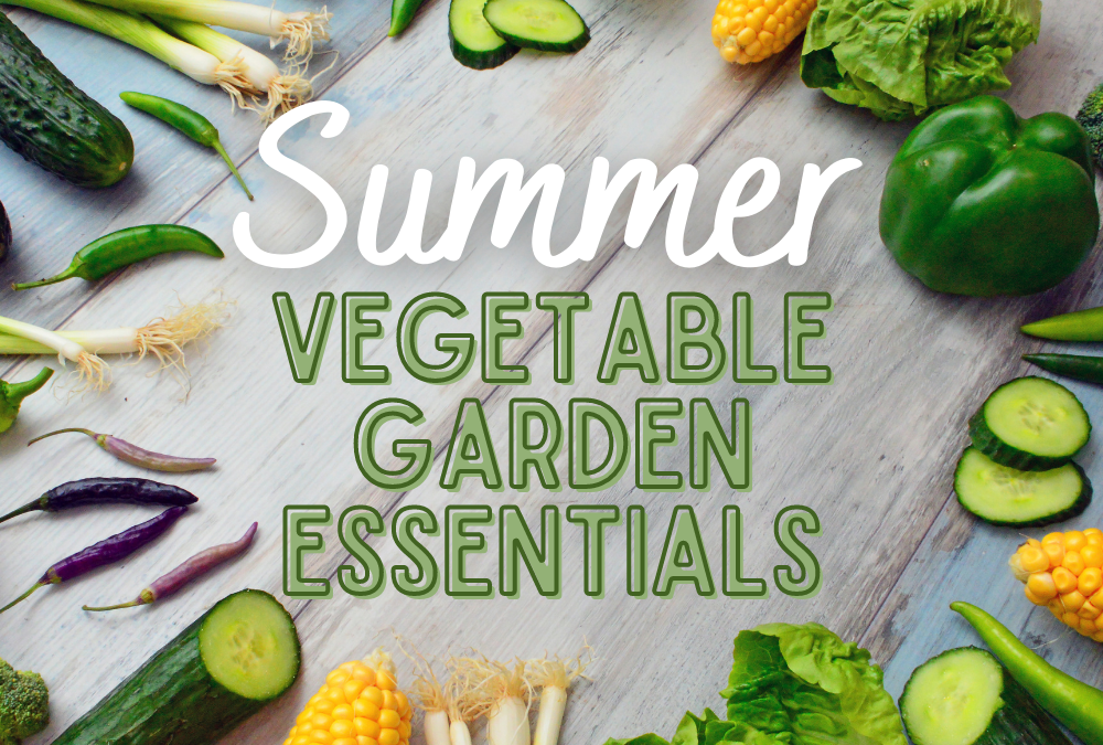 Four Essential Vegetables for Your Summer Garden