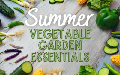 Four Essential Vegetables for Your Summer Garden