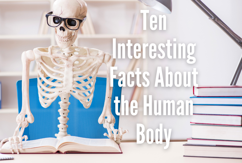 Ten Interesting Facts About the Human Body