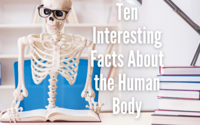 Ten Interesting Facts About the Human Body