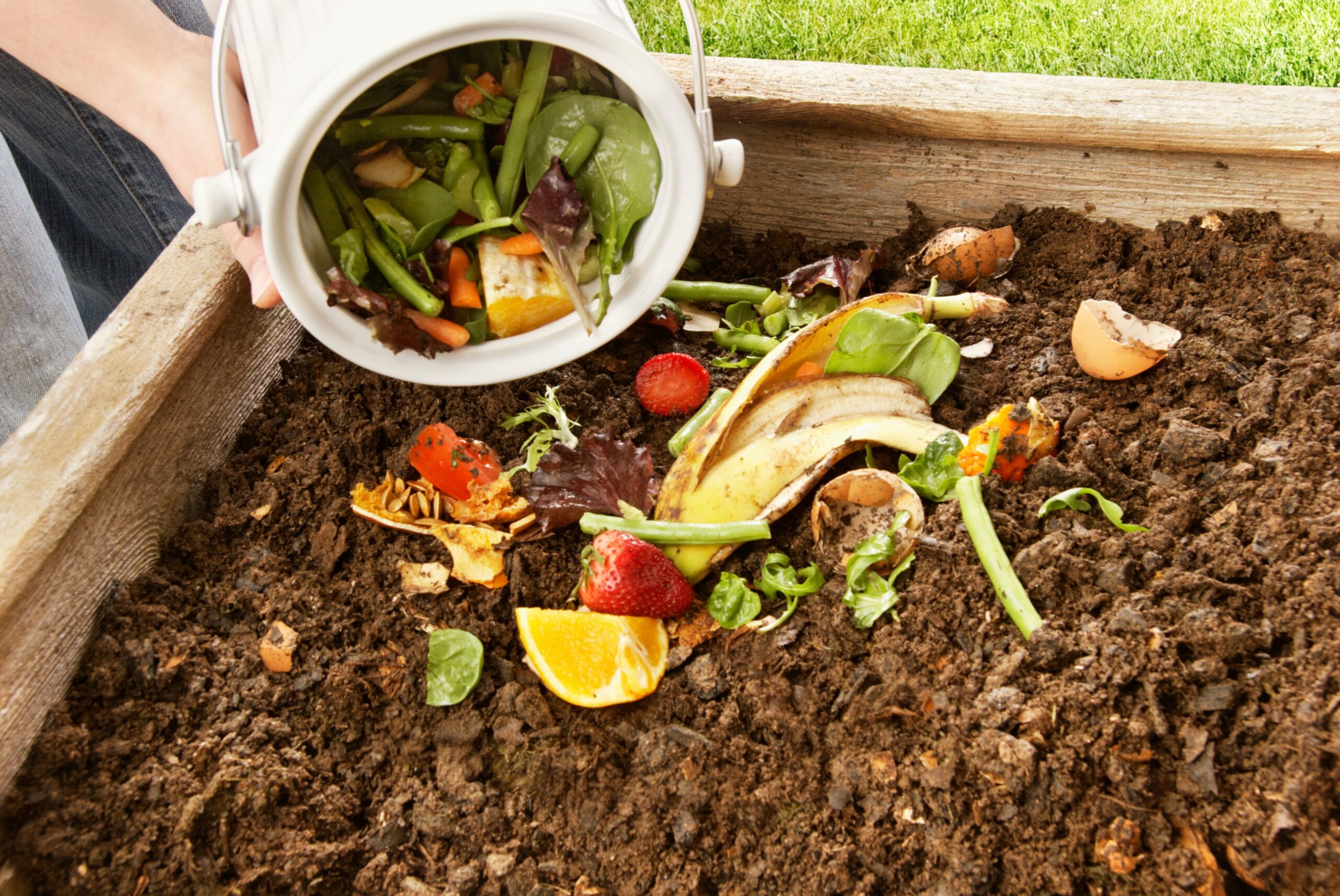 Worm Composting for Beginners